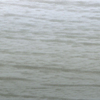 alpine metal venetian colour